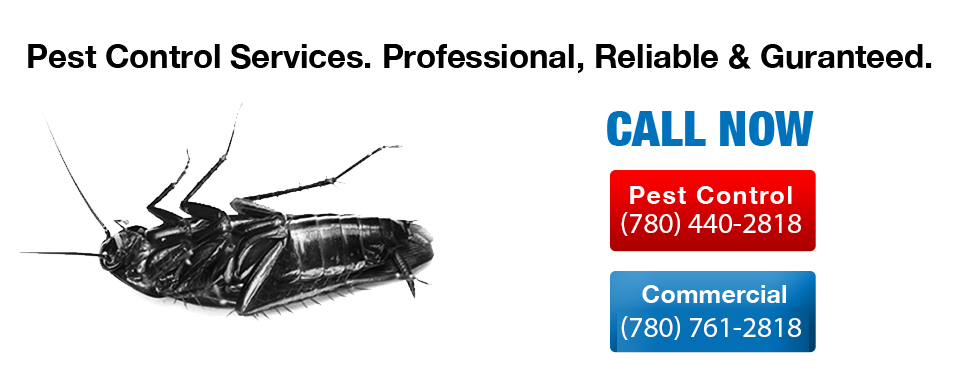 pest-control-edmonton